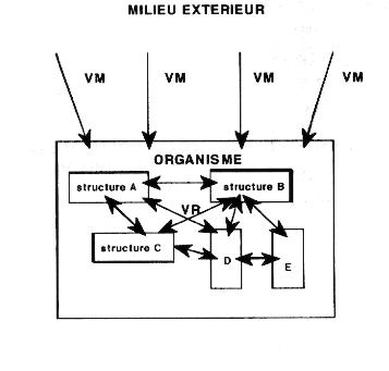 Diagramme Principes